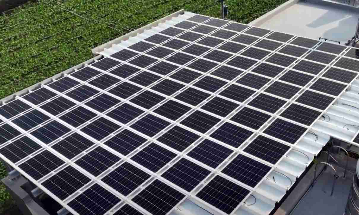 赏金国际SunSteel光电浪板升级双玻结构，，，以提升机械负载强度及气候耐候度，，可广泛运用于多元场域